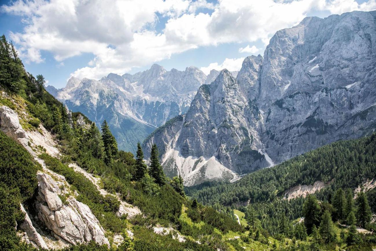 Sunny Retreat Apartment Kranjska Gora Bagian luar foto