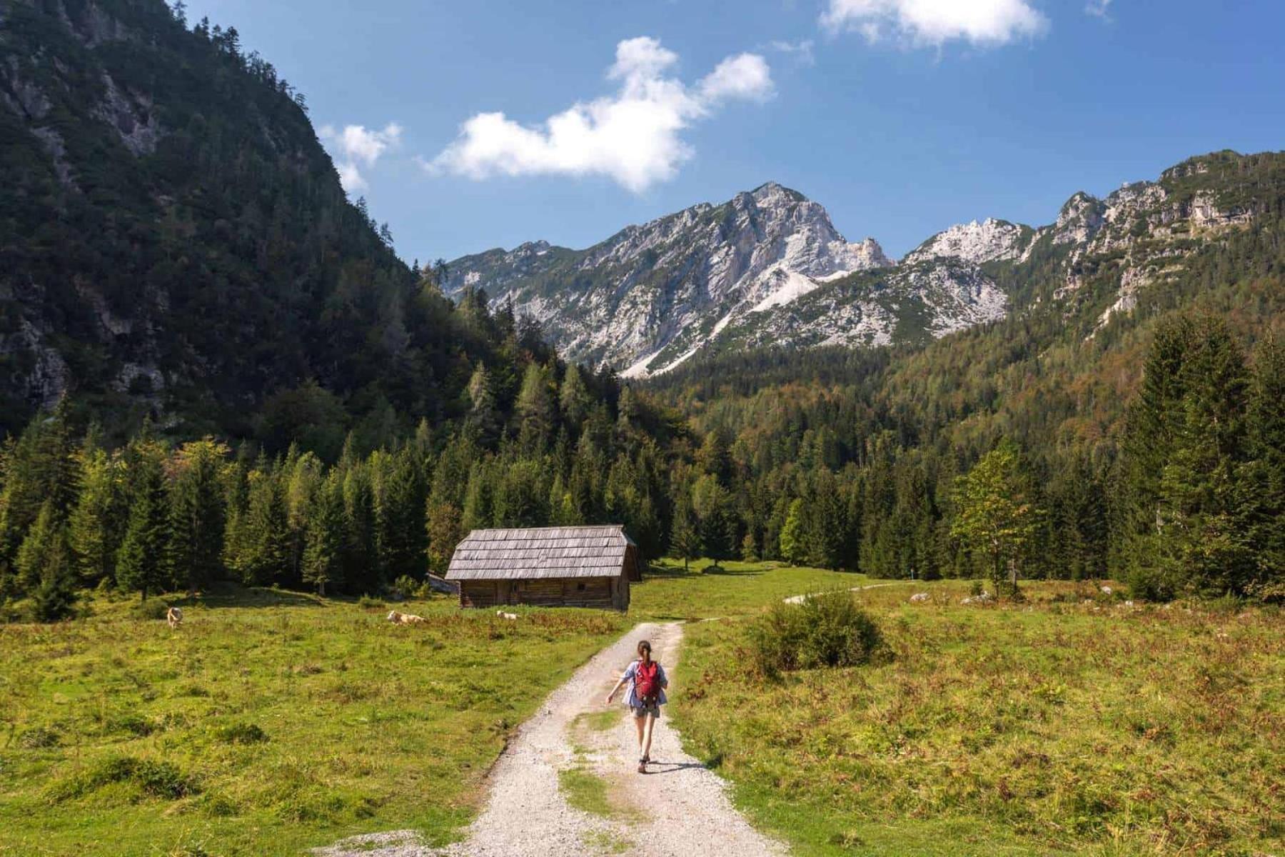 Sunny Retreat Apartment Kranjska Gora Bagian luar foto