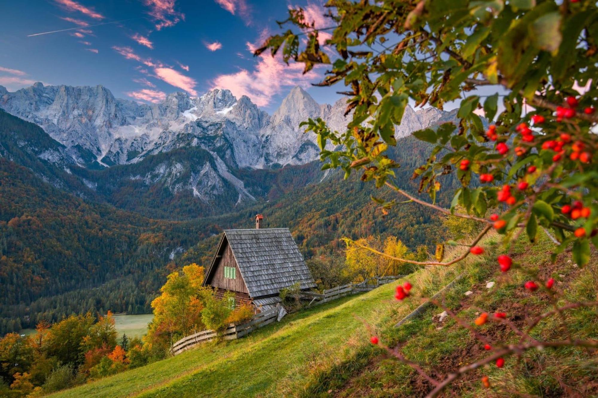 Sunny Retreat Apartment Kranjska Gora Bagian luar foto